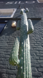 Fake Cactus 183cm