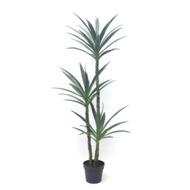 Yucca 122cm