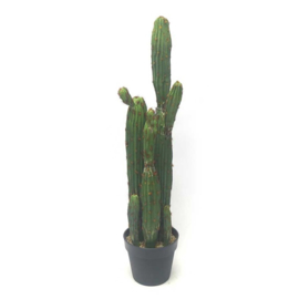 Fake cactus 20,5x20,5x92 cm