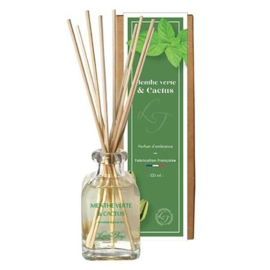 Les Lumieres du Temps - Huisparfum  Duo  Cactus en Munt  Geur - 100 ml.