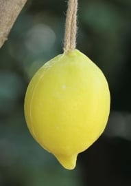 Maitre Savonitto - Zeep citroen aan koord 120 gram