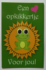 Kaartje - Een opkikkertje Voor jou! Sleutelhanger - Groene Kikker Hanger