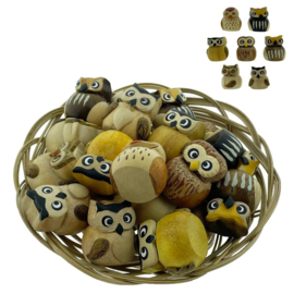 Houten Mini Uiltjes 3.5 cm assorti Cadeau Idee