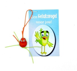 Kaartje - Een Geluksvogel voor jou! - Houten  Geluksvogel Hanger