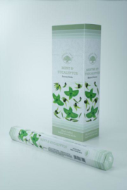 Green Tree - Mint Eucalyptus Geur - Verkoudheid - Wierookstokjes - 20 st