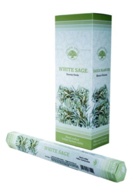 Green Tree - White Sage - Witte Salie - Geur - Wierook - Stokjes - 20 stuks