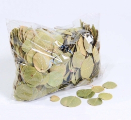 Potpourri moneta bladeren 250 gram
