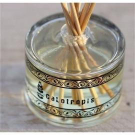 Provence & Nature -Huisparfum  Calotropis Geurstokjes Limette ambrée 100 ml.