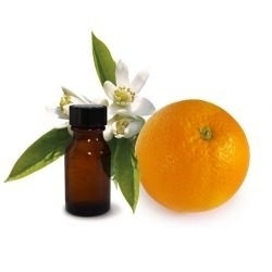 Candlewoods - Neroli  Sinaasappelbloesem - Oranjebloesem - Geurolie Concentraat - 10 ml.