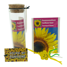 You're my Sunshine - Reuzen Zonnebloemzaadjes Post - Brievenbus