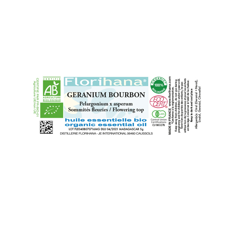 pelargonium x asperum