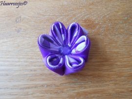 Lintbloem, lila, met paars en paars/lila bloem.