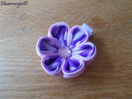 Lintbloem, lila, met lichtroze en paars/lila bloem.