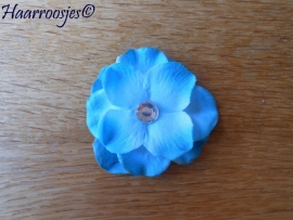 Haarbloem, blauwe hortensia.