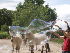 Superbellen Feestpakket aanvulset 15 liter (poeder voor 15 liter sop)