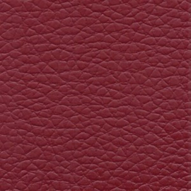 Cavaliere 53