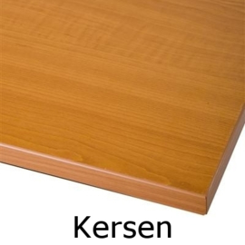 Tafel TR21239, RVS,  120x60cm, blad naar keuze