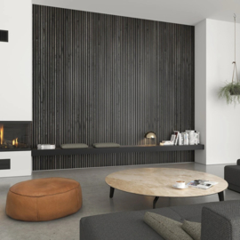Akupanel Black Oak 240x60x2.2cm