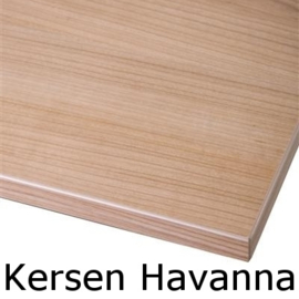 Tafel TR21239, RVS,  120x50cm, blad naar keuze