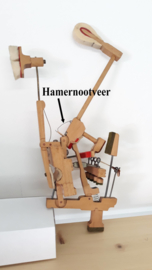 Hamernootveren