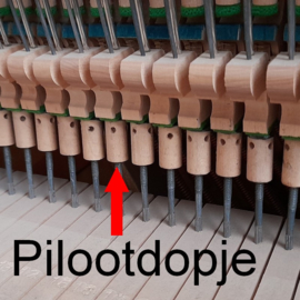 Pilootdopje