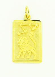 gouden hanger/plaatje "Leeuw"