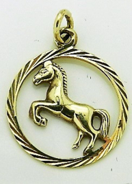 gouden bedel hanger steigerend paard