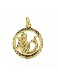gouden hanger bedel zodiac  Waterman