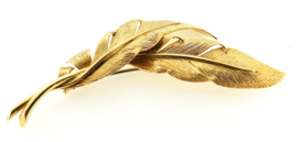 Gouden broche model PALMARES