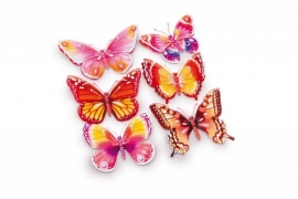 Muurstickers/Decoratiestickers vlinders {L2631/1/3}