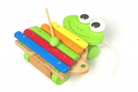 Muziekinstrument houten xylofoon kikker {L7565/W1/5}