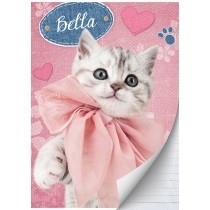 Studio Pets Schrift A4 lijn 15-16  *2/3*