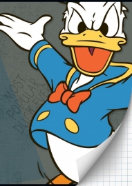 Donald Duck Schrift A4 ruit 15-16  *3/3*