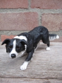 beeldje Border Collie sluipend zwart/wit