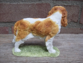 beeldje Cavalier King Charles spaniel blenheim