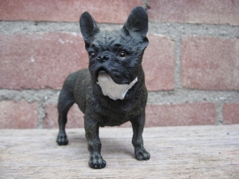 beeldje Franse Bulldog brindle zwart-bruin