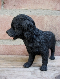 beeldje Cockapoo zwart