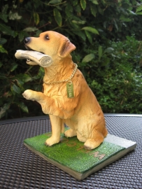 zittende Golden Retriever op deurmat