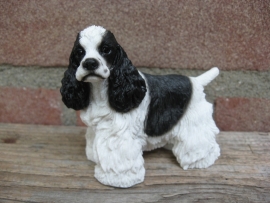 beeldje Amerikaanse Cocker spaniel zwart-wit