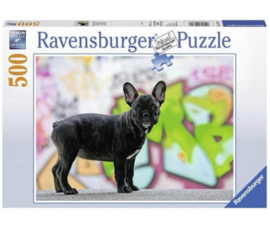 puzzel Franse Bulldog