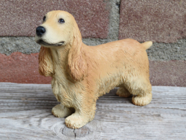 beeldje Engelse Cocker spaniel blond