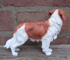 beeldje Kooikerhondje