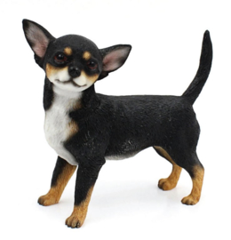 beeldje Chihuahua staand tricolour