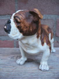 beeldje Engelse Bulldog vintage