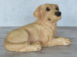 vintage beeld Labrador blond | 22,5 cm