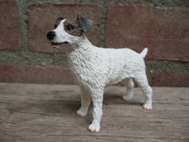 beeldje Jack Russell ruwhaar wit-bruin