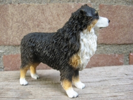 beeldje Australian Shepherd tricolour