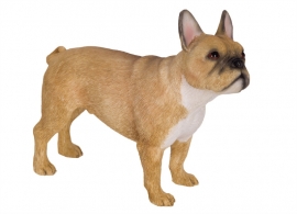beeldje Franse Bulldog beige