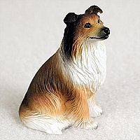 miniatuur Schotse Collie sable