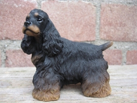 beeldje Amerikaanse Cocker spaniel black & tan